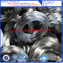 Electric Galvanized Wire Strong Doughness Factory Vente directe